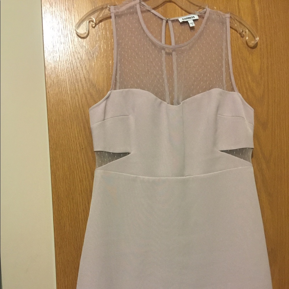 Express Pink Dress